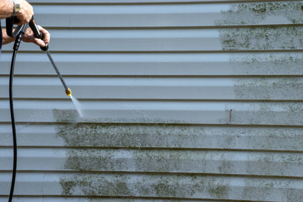 Best Furniture Removal  in Painted Post, NY