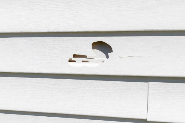 Best Carpet Removal and Disposal  in Painted Post, NY