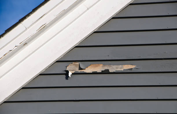 Best Retail Junk Removal  in Painted Post, NY